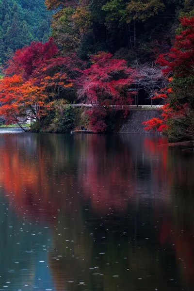 iwarsawgirl - Jezioro Kamakita, Saitama, fot. Miyamoto_Y

#fotografia #japonia #estet...