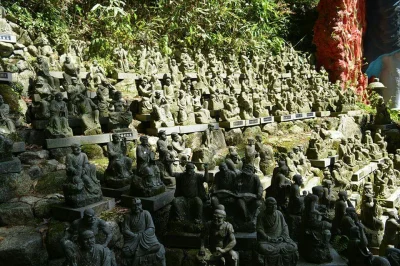 Hake - Takie tam mordki

#japonia #fotografia