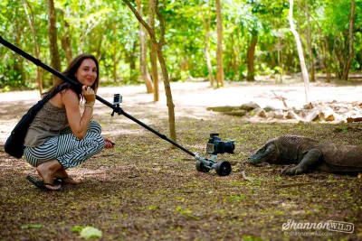 GraveDigger - Wspaniale jest tak sobie leżeć, a człowieki cię fotografują.

#terrarys...