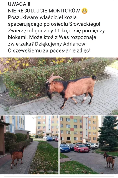 pogop - Taka sytuacja w Trzciance wielkopolskie XD


#heheszki #humorobrazkowy #trzci...