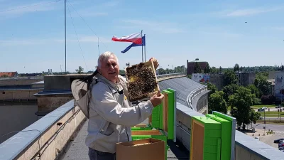 MiejscaWeWroclawiu - Dziś na dachu Urzędu Wojewódzkiego zamieszkały pszczoły ( ͡° ͜ʖ ...