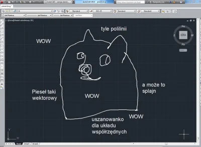 pkoneman - Wiadomo że #doge > #piesel ale ten jest ok #autocad