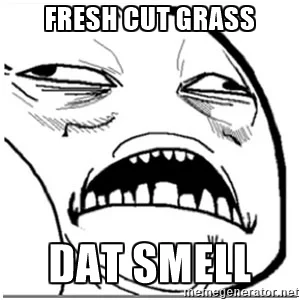 moonlisa - @toxa: Niech tną. Zapach ściętej trawy to nadzapach. ( ͡° ͜ʖ ͡°)