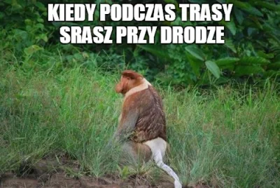 AsuriTeyze - #polak #heheszki