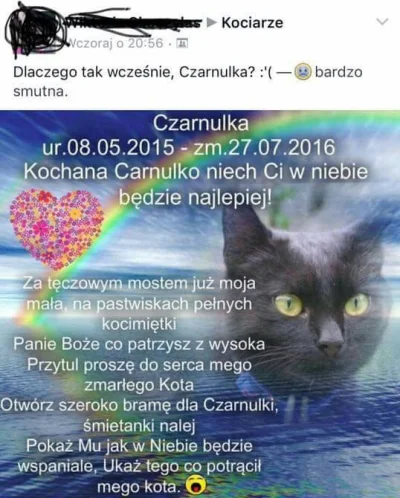 T.....v - Co się tu...
#heheszki #zwierzaczki #rakcontent #logikarozowychpaskow