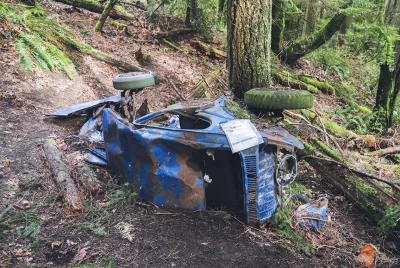 wallofwudu - Idziesz sobie lasem deszczowym a tam... "zaparkowane auto" o_O Poważnie,...