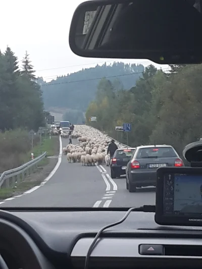 S.....n - Wybraliśmy sie z rodzicami na wycieczkę do Białki, ale chyba troche nam zej...