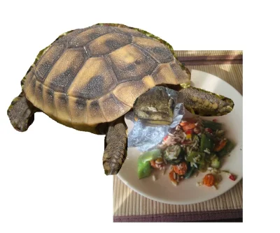 hugoprat - @LovellyBrunette: ( ͡° ʖ̯ ͡°) biedny ten żółw..