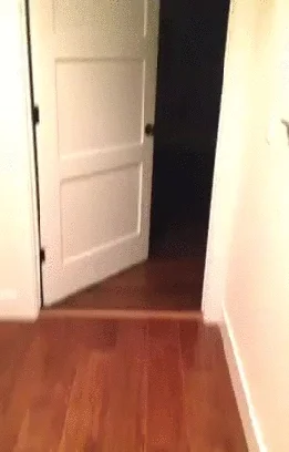 pixtri - przypał ( ͡° ʖ̯ ͡°)
#heheszki #smiesznypiesek