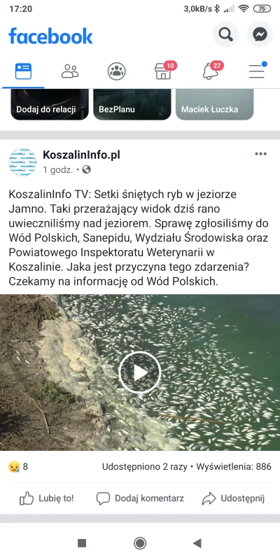 d.....a - KoszalinInfo TV: Setki śniętych ryb w jeziorze Jamno. Taki przerażający wid...