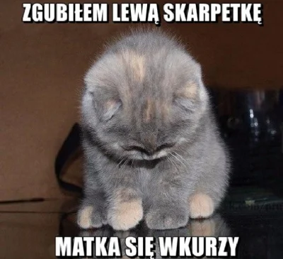ankalara - (｡◕‿‿◕｡)
#koty #heheszki #kociaczki