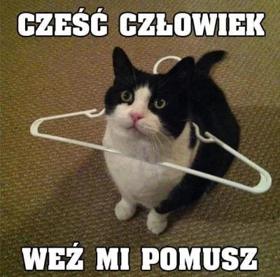 Altru - #heheszki #humorobrazkowy #koty