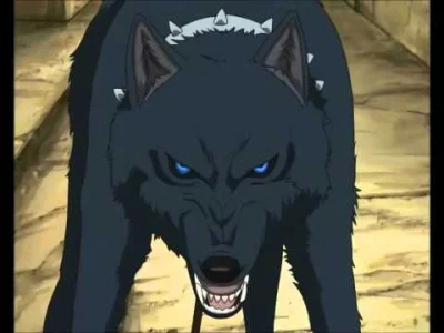 Ranfun - #randomanimeshit #amv #wolfsrain