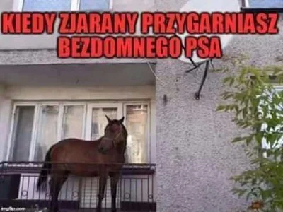 walter-pinkman - Jak cudownie, że w naszym pięknym kraju polityk wie lepiej co jest d...