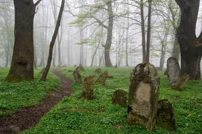 szikagobyk - Cmentarz żydowski w Lesku

SPOILER