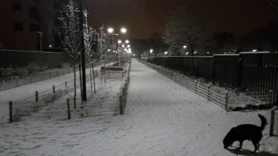 pazdzioch564 - Ale zajebiscie :3
#warszawa #snieg