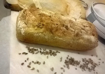 zupazkasztana - Upiekłam chleb, pierwszy który wyszedł, przynajmniej wizualnie. Lekko...