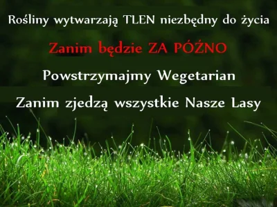 modzelem - #bekazwegetarian #humorobrazkowy #heheszki
