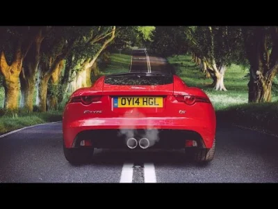 MobyDzik - Jaguar F-Type
#carboners #motoryzacja #samochody