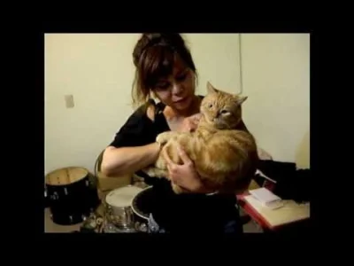 d.....k - #youtube #koty #caturday 



Co te koty to ja nawet nie...