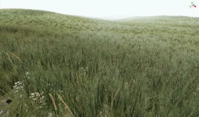 skew - @Sordi: Unity3D i jego renderowanie trawy ( ͡° ͜ʖ ͡°)