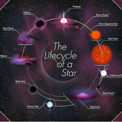 biesy - a tu mamy cykl życia mikroblog... gwiazdy. ( ͡° ͜ʖ ͡°)

#ciekawostki #astro...