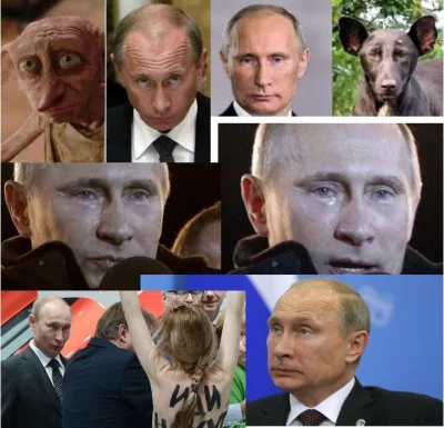 kunter - @kunter: Putin pies, Putin zgredek, Putin beksa. itd...