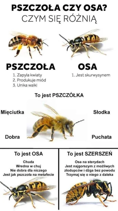 Bezsprzecznie - Poradnik na dziś

Jako że dni cieplejszych coraz więcej i owady się...