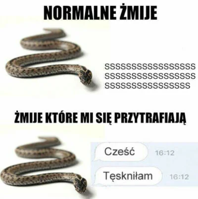 MieszamBigosGlowa - #heheszki
#humorobrazkowy
#zwiazki
#logikarozowychpaskow
#roz...