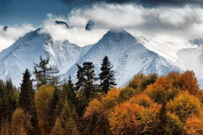 BenzoesanSodu - (｡◕‿◕｡)

#earthporn #fotografia #zdjecia #gory #zakopane #tatry #gory...