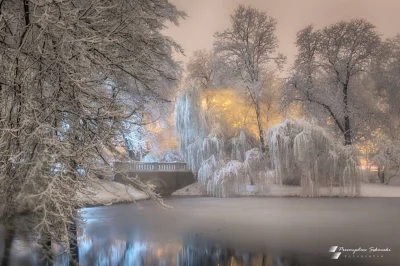 BongoRozsadku - Ciężko uwierzyć, że to Kielce (｡◕‿‿◕｡)
Autor zdjęcia
#kielce #zima ...