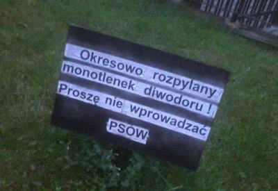 Sierkovitz - Jak ze zwolennika teorii spiskowych i medycyny naturalnej można stać blo...