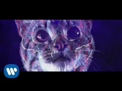 Yossarian82 - #muzyka #metal #narkotykizawszespoko #koty Jezu po czym to taki trip? :...