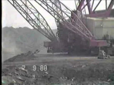 myrmekochoria - Wideo podczas pracy w 1988 roku