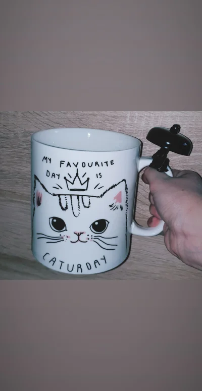 poszukujekota - Coś dla miłośników kotów (｡◕‿‿◕｡)
#pokazkubek #kot #caturday