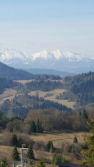 MamGlupiNick - dzien dobry Mirki! jak mija Wam dzisiejszy dzien? u mnie zaczal sie za...