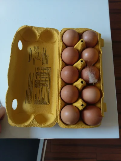 U.....s - Chyba udało mi się kupić bardzo świeże jajka 
#chwalsie #pokazjaja