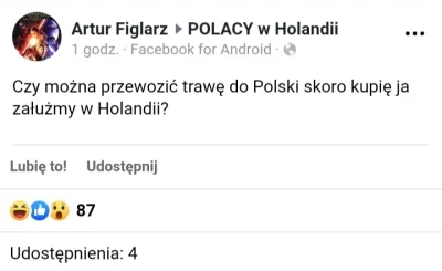 s.....j - #heheszki #humorobrazkowy #patologiazewsi #holandia #bekazpodludzi