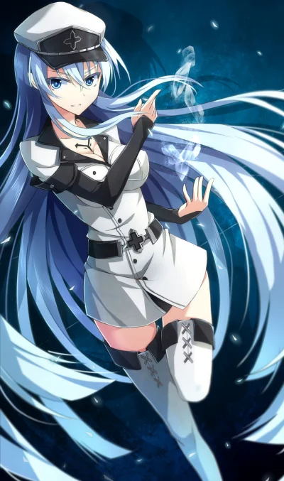 S.....n - #randomanimeshit #akamegakill #esdeath #longhair #bluehair #blueeyes #zakol...