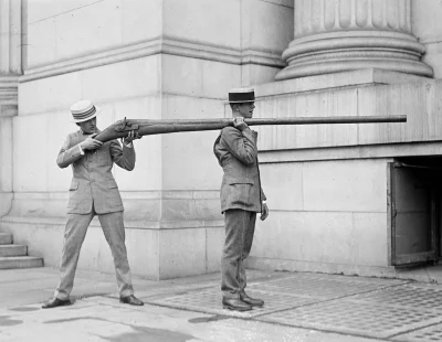 ecconomicus - https://en.wikipedia.org/wiki/Punt_gun