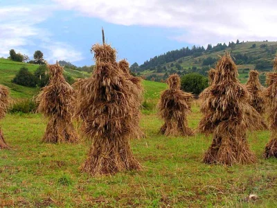 alpag - @kamien23: > w lewactwie panuje pewna hierahia ucieśnienia a cyganie są w nie...