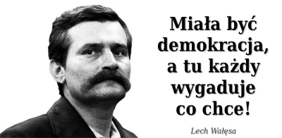 franekfm - #lewaknadzis #prawackihumor #demokracja #lewackalogika #lechwalesa #lechwa...