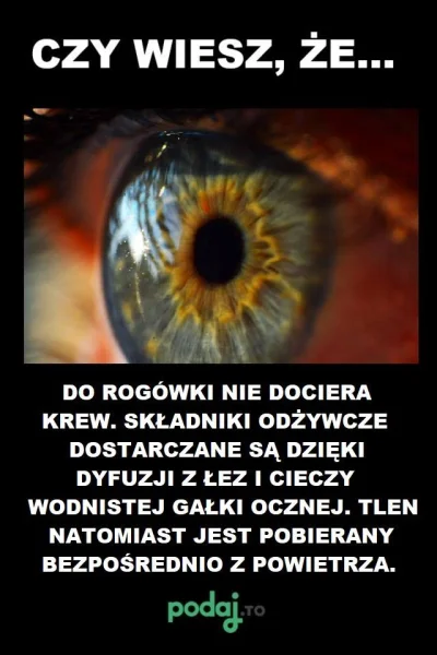 bioslawek - "Rogówka (łac. cornea) – wypukła zewnętrzna warstwa gałki ocznej w jej pr...