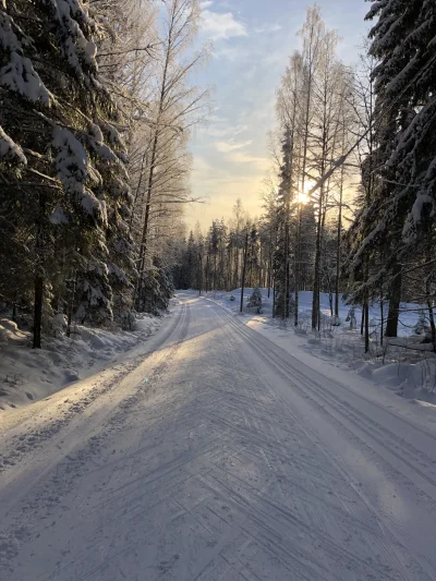 Samcro - #mojezdjecie #fotografia #natura #zima #finlandia