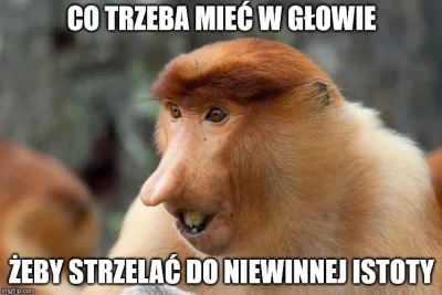 mistrztekkena - @mistrztekkena: