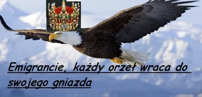 Szefie - Prosze


 Emigrancie, każdy orzeł wraca do swojego gniazda



@freegammer: