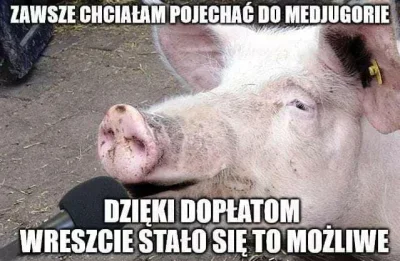 H.....e - Charlie miał aniołki, Kaczyński ma świnie

#swiniekaczynskiego #heheszki ...