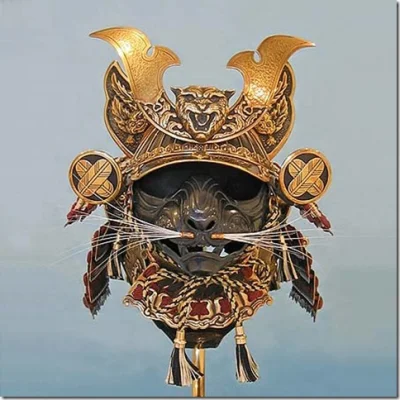 hypation - Gdy chcesz żeby twój kot został samurajem.
#koty