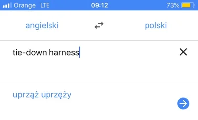 MyshaM - Google translate, ty dziwko. 

#heheszki #angielski #jezykiobce #google