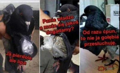 Ansos - #heheszki #humorobrazkowy